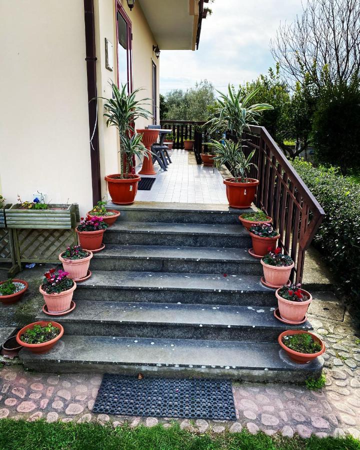 B&B Villa Dei Fiori SantʼEufemia Lamezia Eksteriør bilde