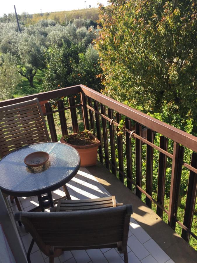 B&B Villa Dei Fiori SantʼEufemia Lamezia Eksteriør bilde